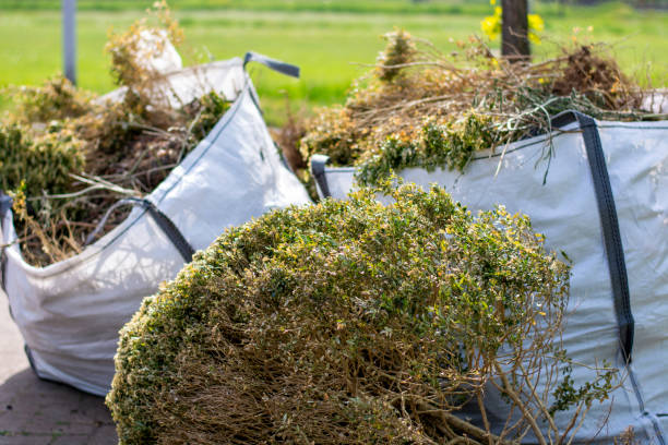 Attic Cleanout Services in Butler, GA